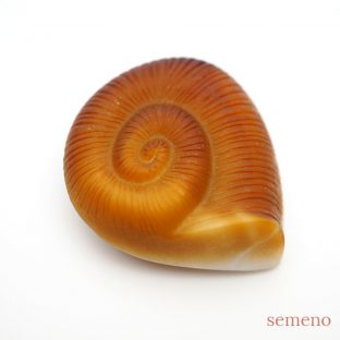 エスカルゴ　チェコガラスブローチ　2　GB1203