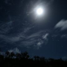 「大きくて滑らかな、縁の鋭い真珠貝」をご存知ですか？【夢十夜】